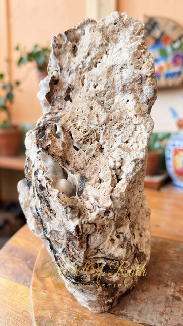 Aragoniet Chocolade XL