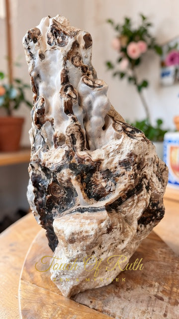 Aragoniet Chocolade XL