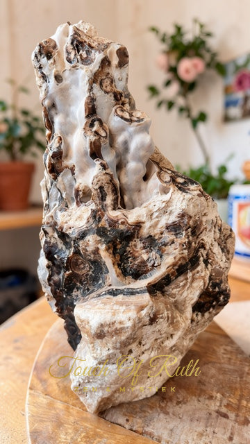 Aragoniet Chocolade XL