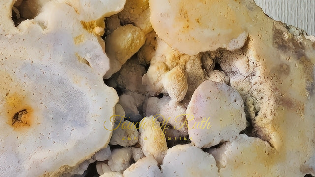 Chalcedoon