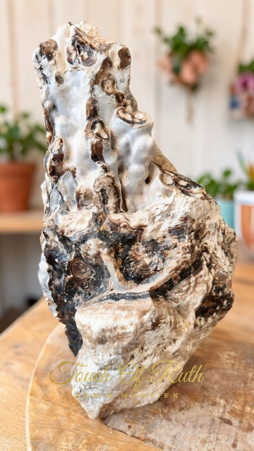 Aragoniet Chocolade XL