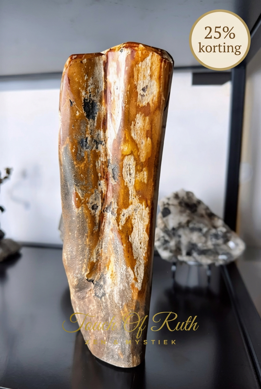 Versteend hout met label 25% korting