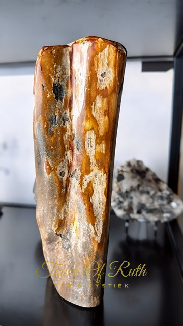 Versteend Hout Freeform