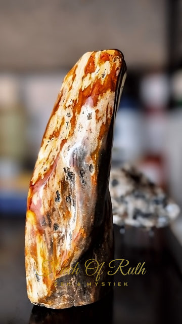 Versteend Hout Freeform